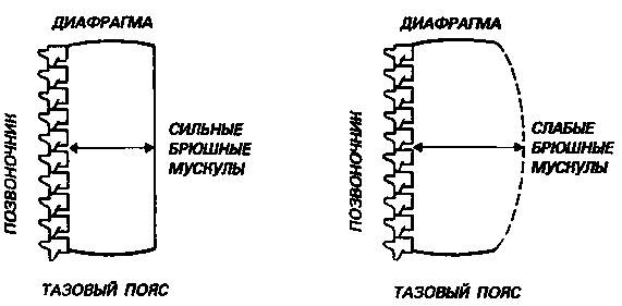Иллюстрация к книге — Здоровая спина за 10 минут в день [i_002.jpg]