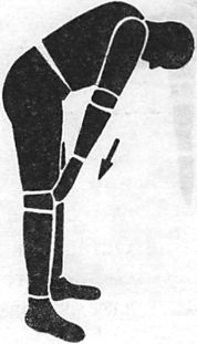 Иллюстрация к книге — Здоровая спина за 10 минут в день [i_013.jpg]