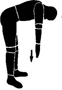 Иллюстрация к книге — Здоровая спина за 10 минут в день [i_014.jpg]
