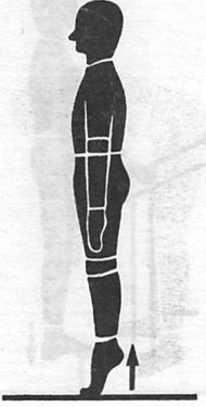 Иллюстрация к книге — Здоровая спина за 10 минут в день [i_015.jpg]