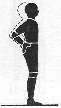 Иллюстрация к книге — Здоровая спина за 10 минут в день [i_017.jpg]