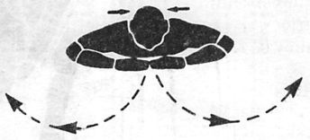 Иллюстрация к книге — Здоровая спина за 10 минут в день [i_020.jpg]