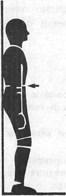 Иллюстрация к книге — Здоровая спина за 10 минут в день [i_029.jpg]