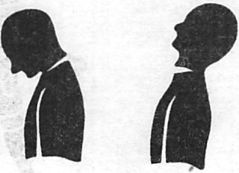 Иллюстрация к книге — Здоровая спина за 10 минут в день [i_086.jpg]