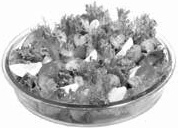 Иллюстрация к книге — Постная кухня. 600 рецептов для тех, кто держит пост [_02.jpg]