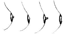 Иллюстрация к книге — Питание ребенка от рождения до трех лет [autogen_ebook_id3.jpg]