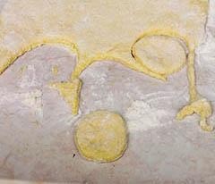 Иллюстрация к книге — Кулинарная коллекция. Шаг за шагом [desserts_15_5.jpg]