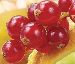 Иллюстрация к книге — Кулинарная коллекция. Шаг за шагом [desserts_43_4.jpg]