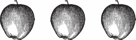 Иллюстрация к книге — Обед для Льва. Кулинарная книга Софьи Андреевны Толстой [_12.jpg]