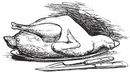 Иллюстрация к книге — Обед для Льва. Кулинарная книга Софьи Андреевны Толстой [_32.jpg]