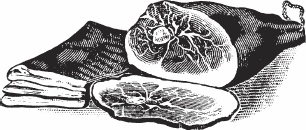 Иллюстрация к книге — Обед для Льва. Кулинарная книга Софьи Андреевны Толстой [_41.jpg]
