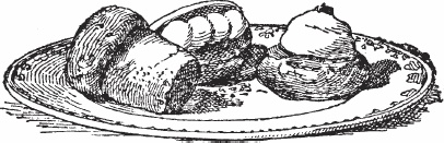 Иллюстрация к книге — Обед для Льва. Кулинарная книга Софьи Андреевны Толстой [_63.jpg]