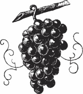 Иллюстрация к книге — Обед для Льва. Кулинарная книга Софьи Андреевны Толстой [_89.jpg]