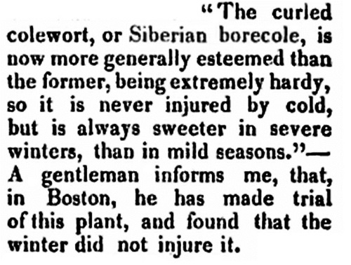 Иллюстрация к книге — Непридуманная история русских продуктов. От Киевской Руси до СССР [i_130.jpg]
