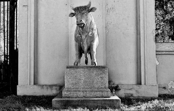 Иллюстрация к книге — Непридуманная история русских продуктов. От Киевской Руси до СССР [i_184.jpg]