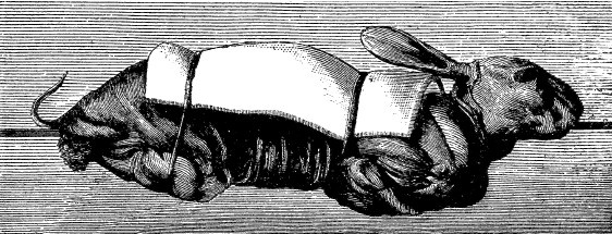 Иллюстрация к книге — Непридуманная история русских продуктов. От Киевской Руси до СССР [i_199.jpg]