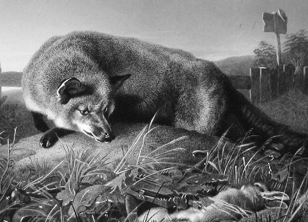 Иллюстрация к книге — Непридуманная история русских продуктов. От Киевской Руси до СССР [i_200.jpg]