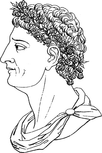 Иллюстрация к книге — Таинства кулинарии. Гастрономическое великолепие Античного мира [i_013.jpg]