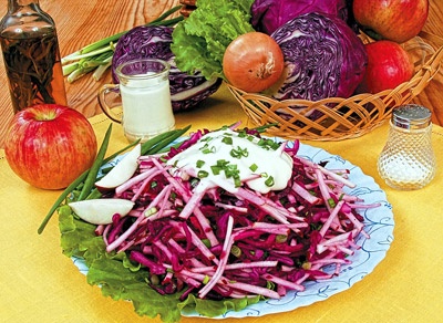 Иллюстрация к книге — Холодные закуски и салаты [_12.jpg]