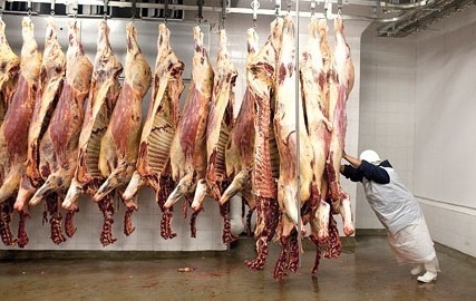 Иллюстрация к книге — Корпоративное племя. Чему антрополог может научить топ-менеджера [i_048.jpg]