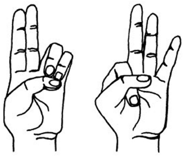 Иллюстрация к книге — Знаю, могу, делаю. Как лучше узнать своего ребенка и вырастить полноценную личность [i_031.jpg]