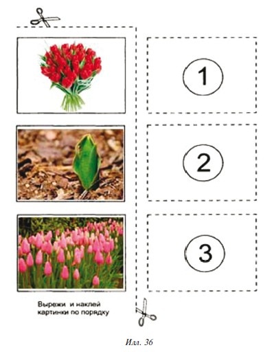 Иллюстрация к книге — Знаю, могу, делаю. Как лучше узнать своего ребенка и вырастить полноценную личность [i_113.jpg]