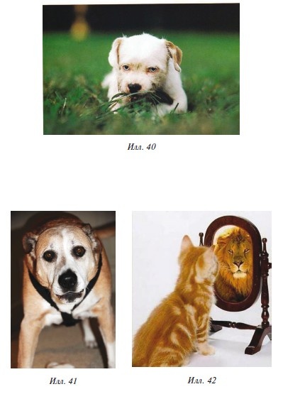 Иллюстрация к книге — Знаю, могу, делаю. Как лучше узнать своего ребенка и вырастить полноценную личность [i_117.jpg]