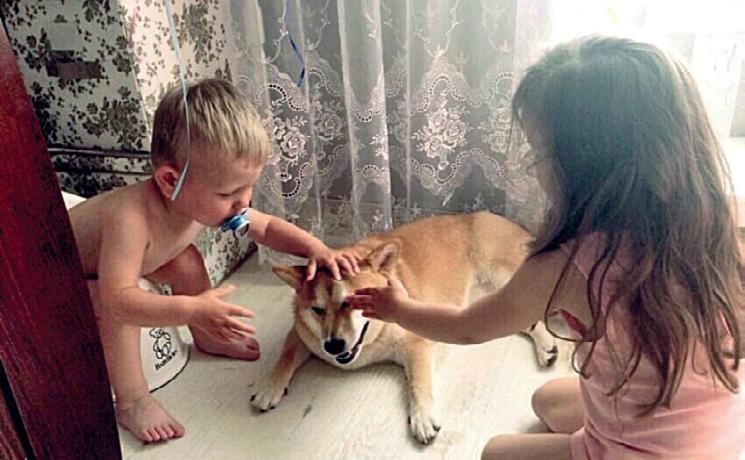 Иллюстрация к книге — Караван счастливых историй [_171_2.jpg]