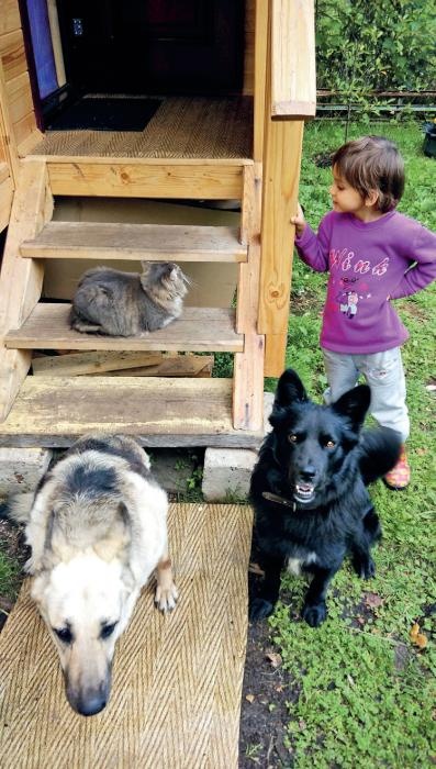 Иллюстрация к книге — Караван счастливых историй [_216.jpg]