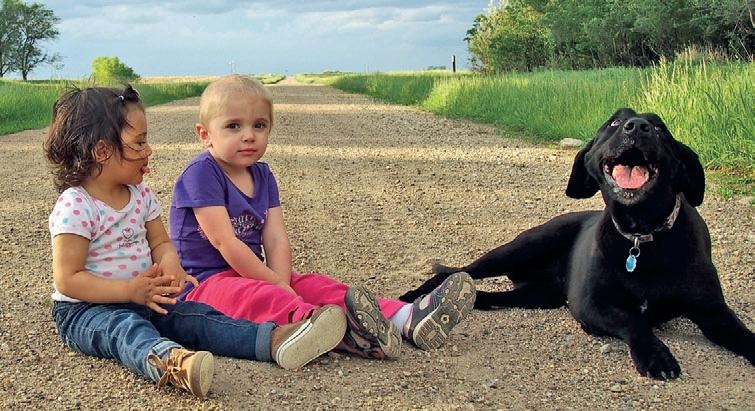 Иллюстрация к книге — Караван счастливых историй [_271_2.jpg]