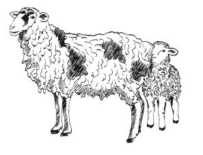 Иллюстрация к книге — Путь лапши. От Китая до Италии [i_032.jpg]