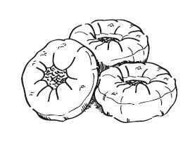 Иллюстрация к книге — Путь лапши. От Китая до Италии [i_033.jpg]