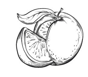 Иллюстрация к книге — Путь лапши. От Китая до Италии [i_048.jpg]