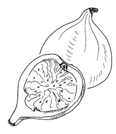 Иллюстрация к книге — Путь лапши. От Китая до Италии [i_051.jpg]