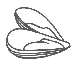 Иллюстрация к книге — Путь лапши. От Китая до Италии [i_067.jpg]