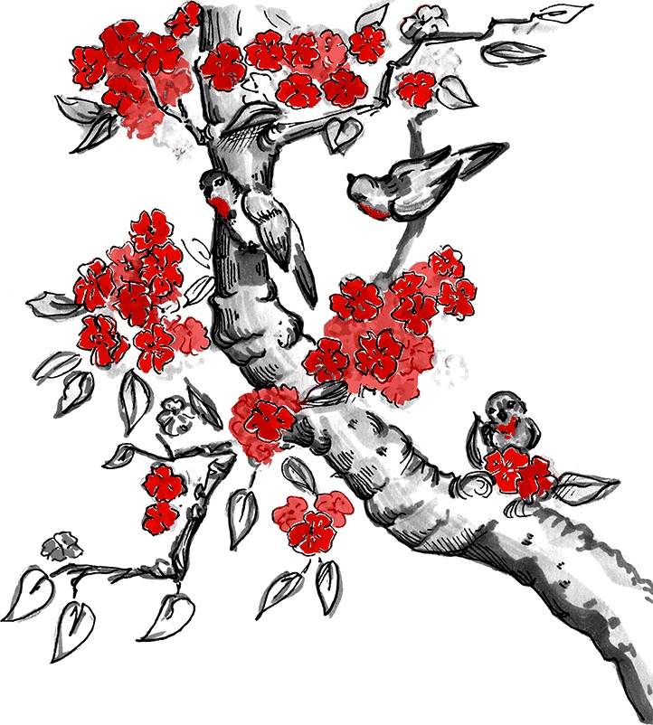 Иллюстрация к книге — Икигай. Японское искусство поиска счастья и смысла в повседневной жизни [i_002.jpg]