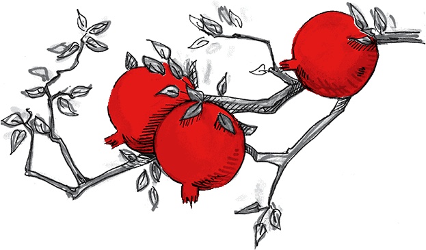 Иллюстрация к книге — Икигай. Японское искусство поиска счастья и смысла в повседневной жизни [i_004.jpg]