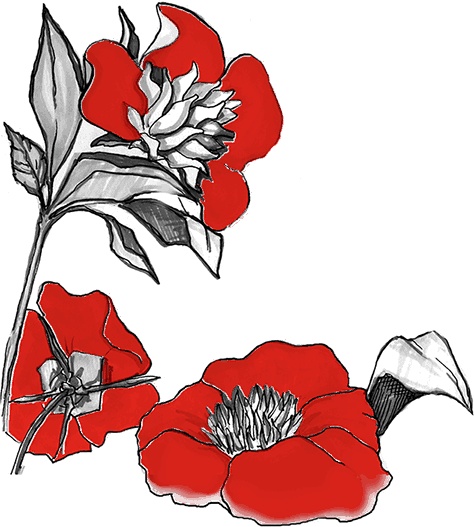 Иллюстрация к книге — Икигай. Японское искусство поиска счастья и смысла в повседневной жизни [i_012.jpg]