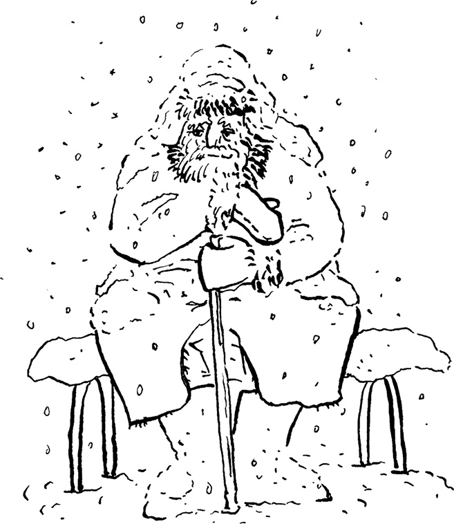 Иллюстрация к книге — Попутчица. Рассказы о жизни, которые согревают [i_006.jpg]