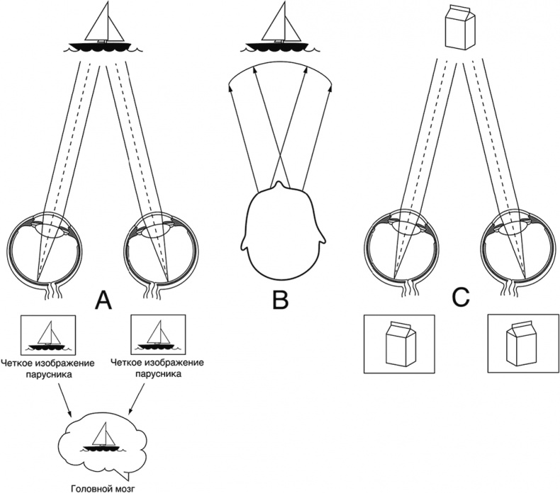 Иллюстрация к книге — Про глазки. Как помочь ребенку видеть мир без очков [_7.jpg]