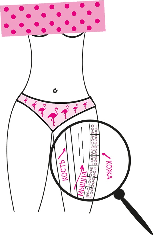 Иллюстрация к книге — Целлюлит. Циничный оберег от главного врага женщин [i_014.jpg]