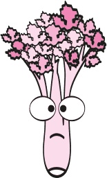 Иллюстрация к книге — Целлюлит. Циничный оберег от главного врага женщин [i_030.jpg]