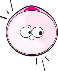 Иллюстрация к книге — Целлюлит. Циничный оберег от главного врага женщин [i_031.jpg]