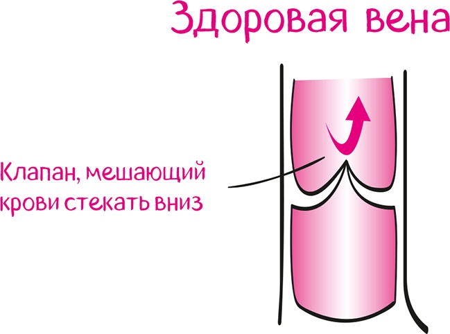 Иллюстрация к книге — Целлюлит. Циничный оберег от главного врага женщин [i_043.jpg]