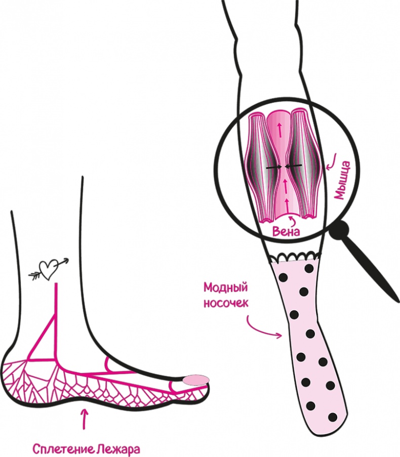 Иллюстрация к книге — Целлюлит. Циничный оберег от главного врага женщин [i_045.jpg]