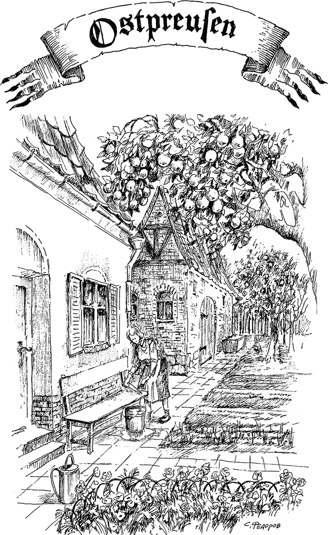 Иллюстрация к книге — Золотая тень Кёнигсберга [i_029.jpg]