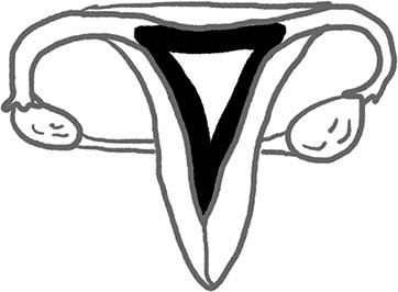 Иллюстрация к книге — Viva la vagina. Хватит замалчивать скрытые возможности органа, который не принято называть [i_026.jpg]