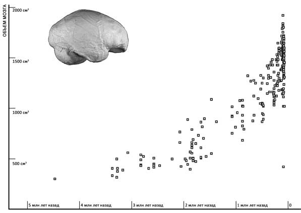 Иллюстрация к книге — Мифы об эволюции человека [i_007.jpg]