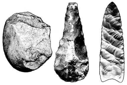 Иллюстрация к книге — Мифы об эволюции человека [i_015.jpg]