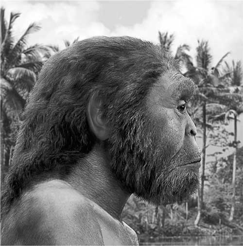 Иллюстрация к книге — Мифы об эволюции человека [i_024.jpg]